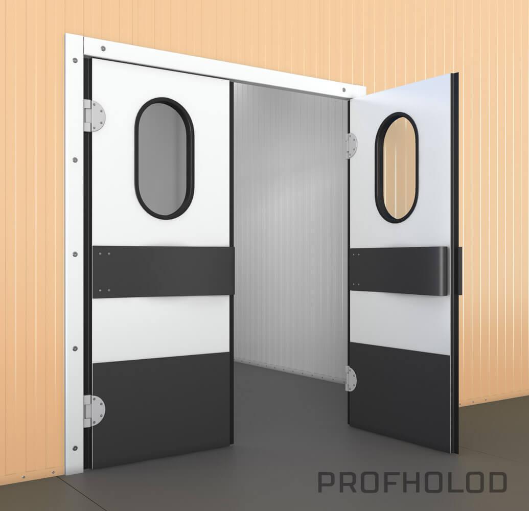 Маятниковые двери