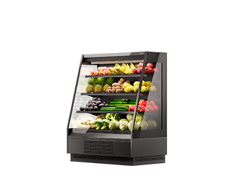 Vega 080 H160 Plug-in