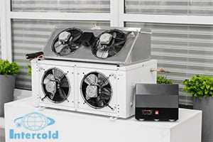 Intercold