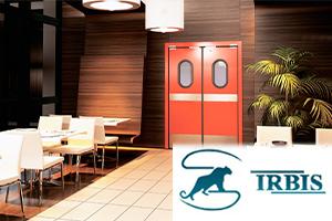 Двери Ирбис