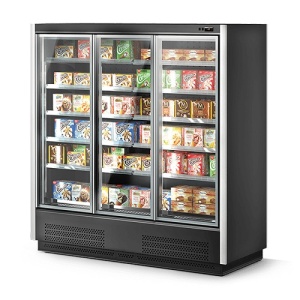 Шкаф морозильный Odissey PLUG-IN 250