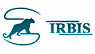 Irbis